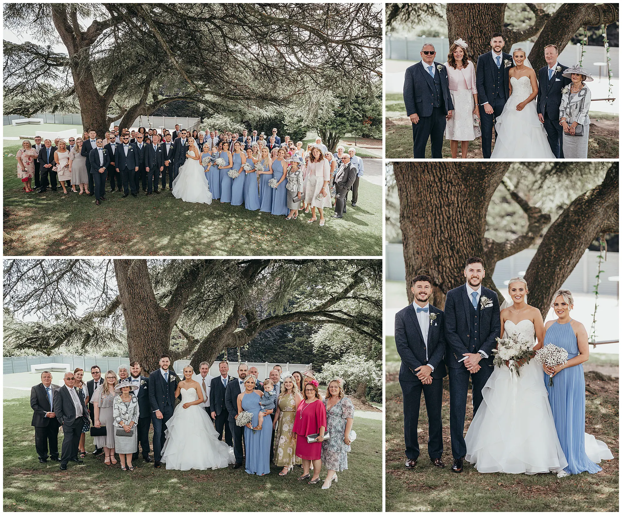 Family groups