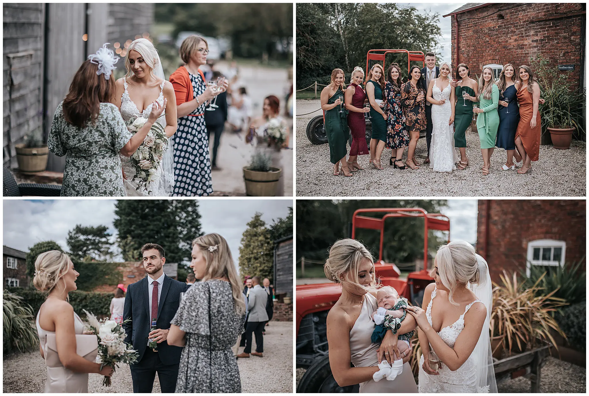 Guests at Stock Farm