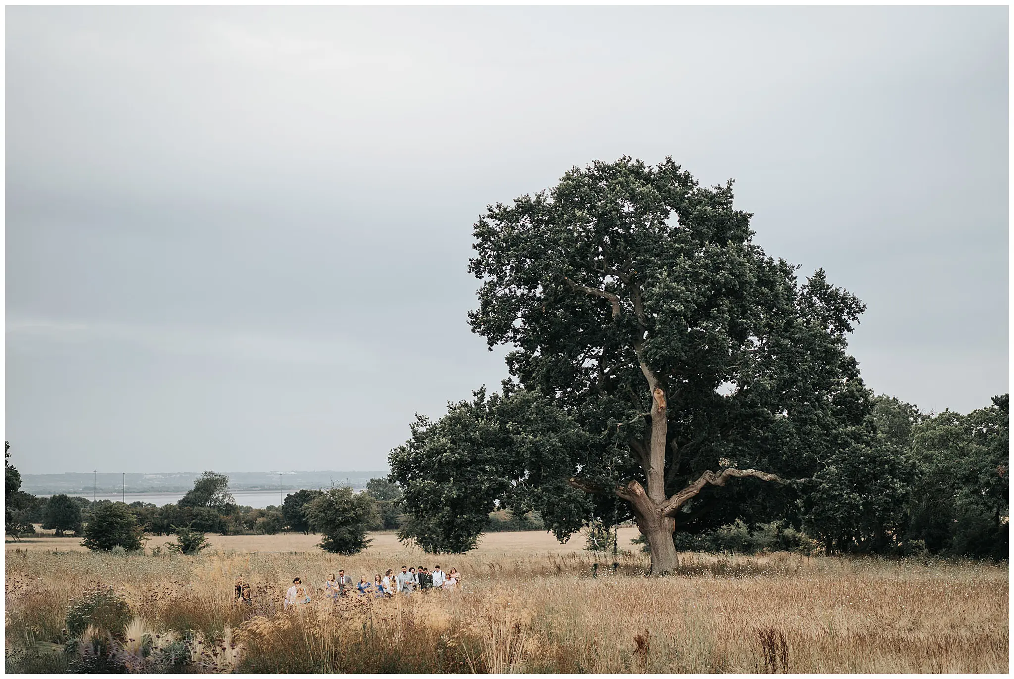 St Tewdrics House Tree