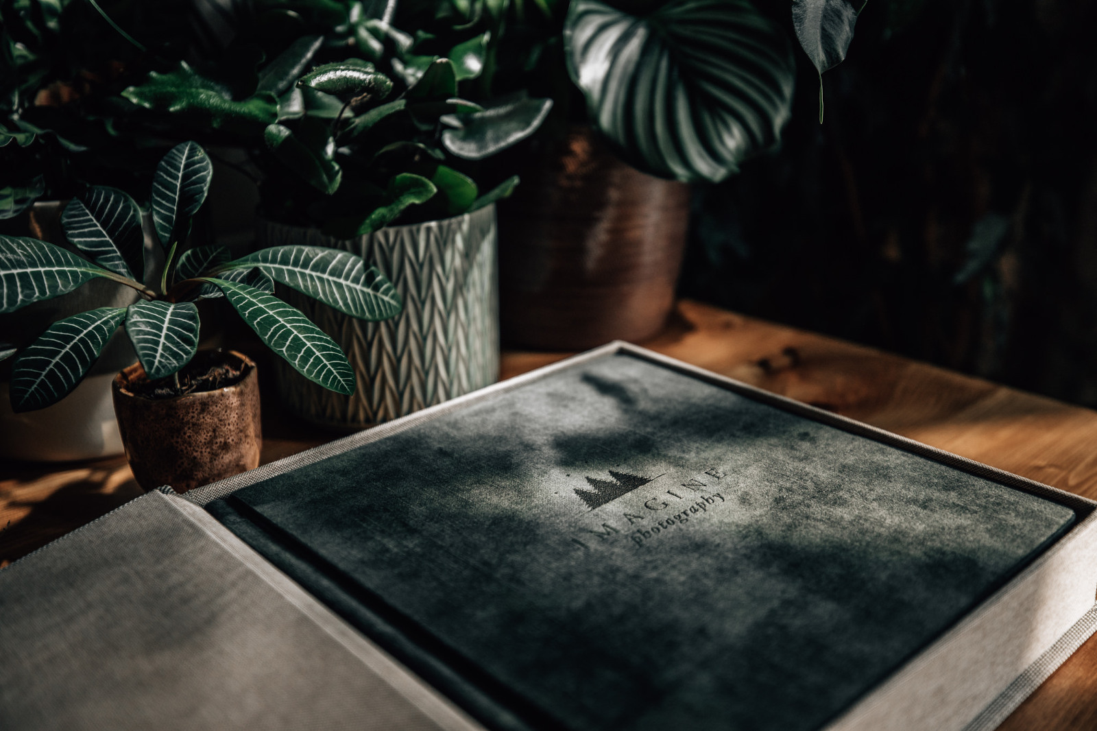 Wedding Album with Box